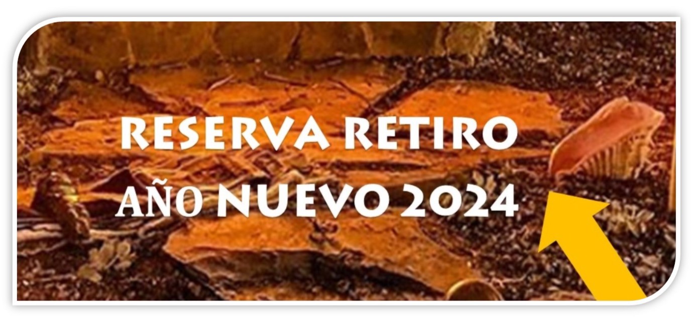 Retiro NocheVieja 2024- Vertical -2